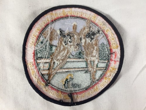 Vintage 1997 Michigan DNR Successful Deer Hunter Patch Management Cooperator