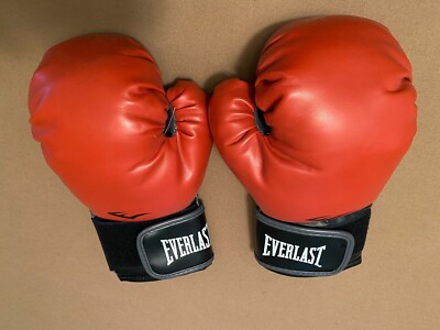 Everlast 12oz Classic Training Boxing Gloves | eBay