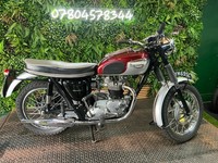 Triumph Thunderbird