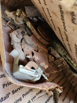 Item photo(s) from verified buyer