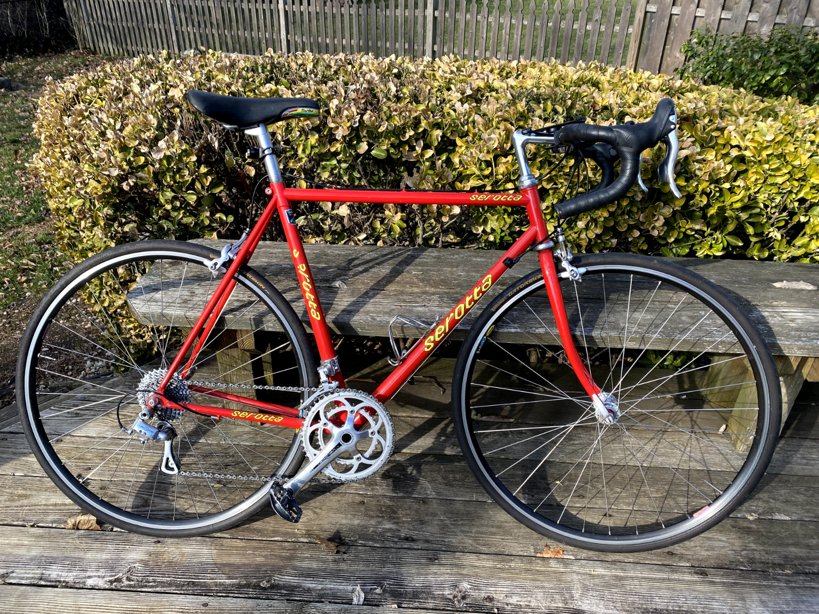 Serotta Colorado 54cm Campagnolo Veloce 10 SPD Tange Tubing