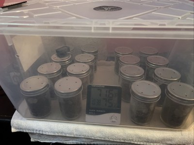 mushroom　準備中 Mega Mushroom Growing & Incubator Kit | Fully Automated | 18