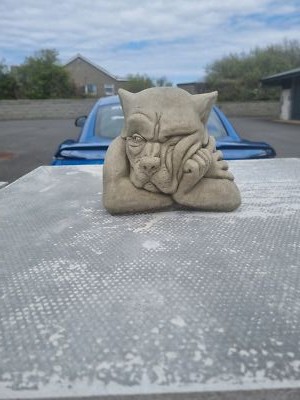 Artikelfoto(s) von einem verifizierten Käufer