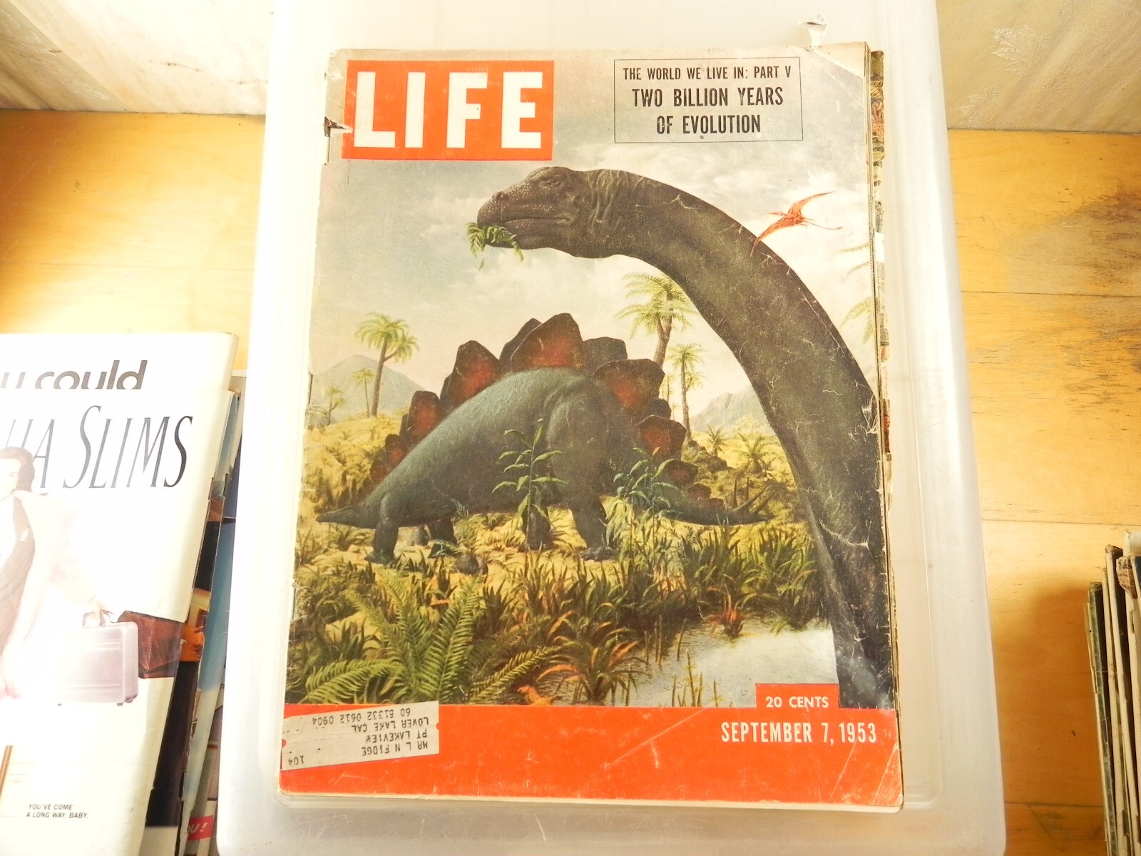 レアLIVING PROOF MAGAZINE OUR WORLD LIFE magazine September 7 1953 Dinosaurs | eBay