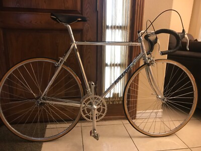70s raleigh bike style with elongated saddle