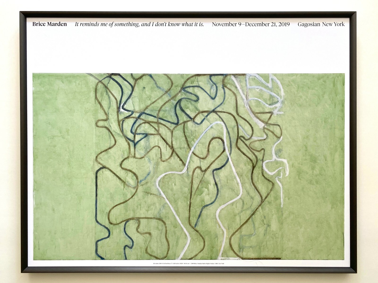 Brice Marden ポスター Brice Marden Elevation Poster | Gagosian Shop
