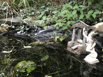 Objectfoto('s) van geverifieerde koper