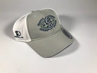 mariners spring training hat 2019