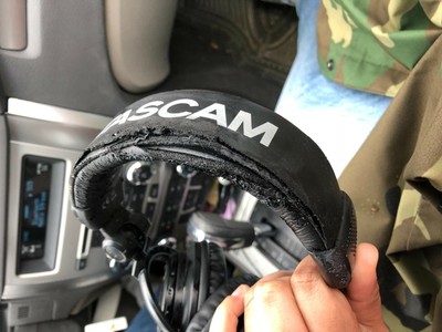 Tascam TH-02 Closed Back Studio Headphones, Black Standard Packaging BRAND NEW