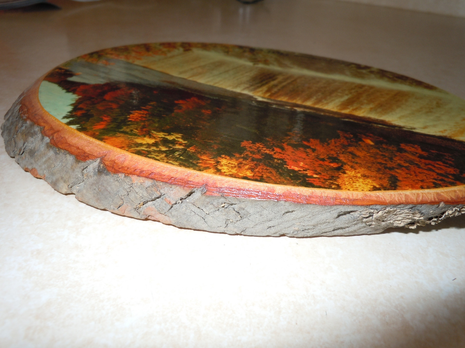 Vintage Wooden Photo Wall Hanging of Lower Tahquamenon Falls Michigan.  1950's