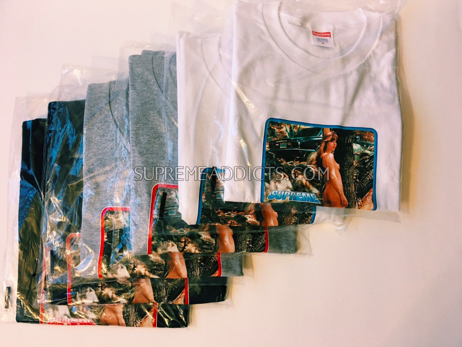 シュプリーム カレンダー シュプリーム supreme 2003 カレンダー中古