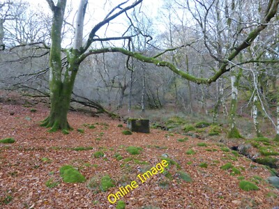 Photo 6x4 Artefact in Coed Dol-wreiddiog Eisingrug I think this is the co c2013