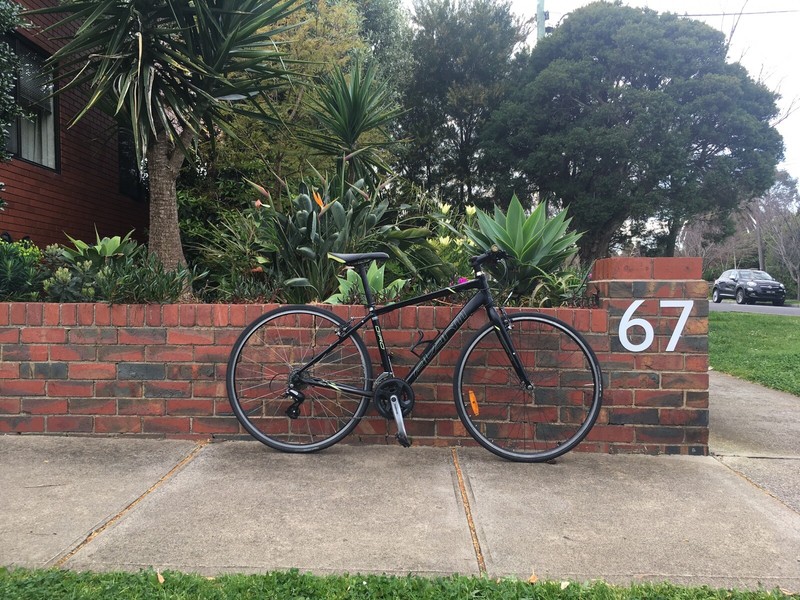 avanti flat bar road bike