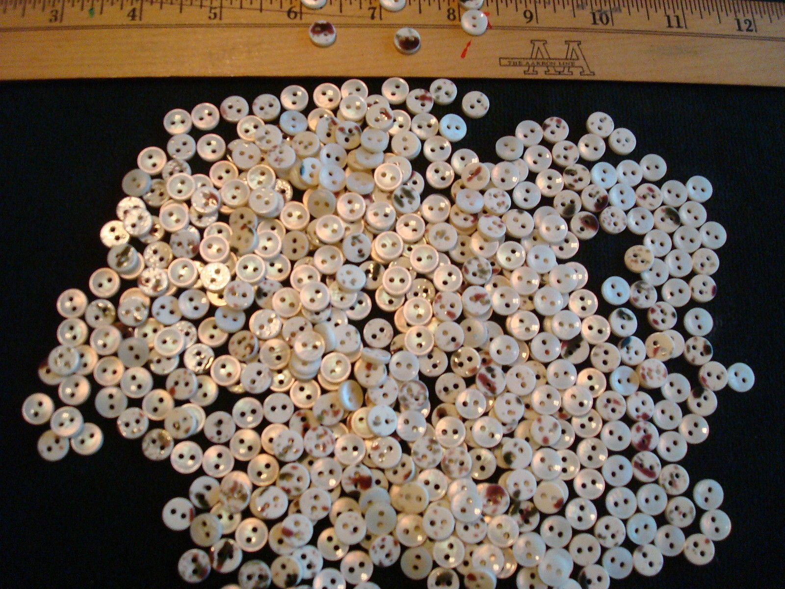 2500 Small Baby~ Doll~Shell?~ Buttons~Sewing~Quilting~Arts & Crafts~Jewelry