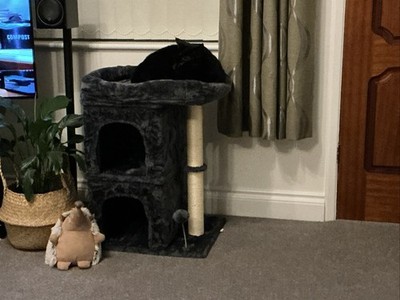 Artikelfoto(s) von einem verifizierten Käufer