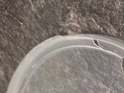 Artikelfoto(s) von einem verifizierten Käufer