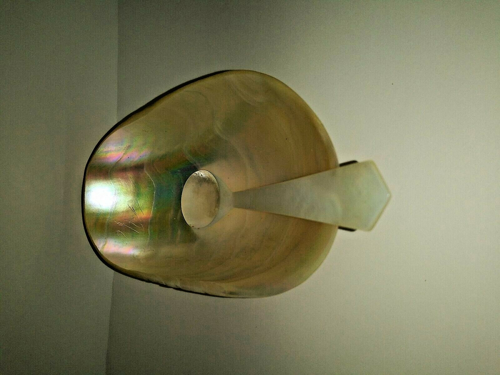 Antique Mother of Pearl Nautilus CAVIAR serving set-  Hand carved spoon W/ Dish