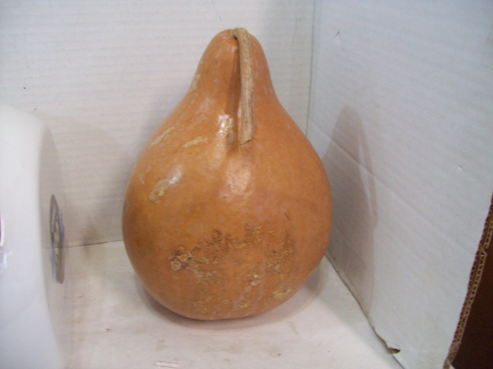 Lighthouse Painted Gourd, Signed by Artists, 10