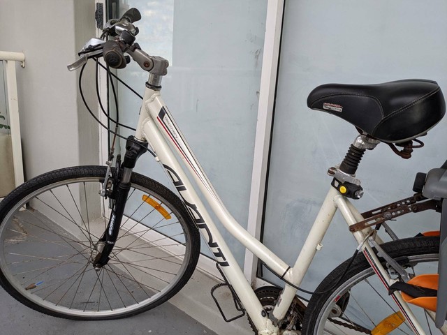 avanti discovery ladies bike