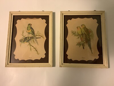 JOHN GOULD Framed Pictures- Two Prints Of Parakeets Framed