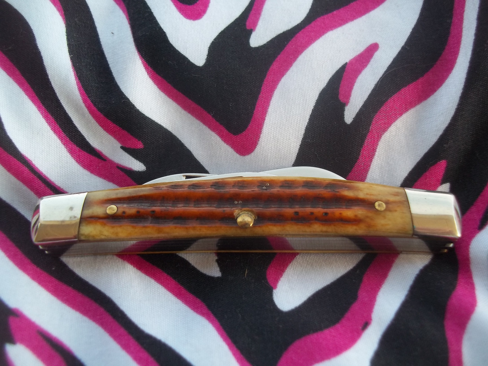 BONE HANDLE CASE XX CONGRASS POCKET KNIFE