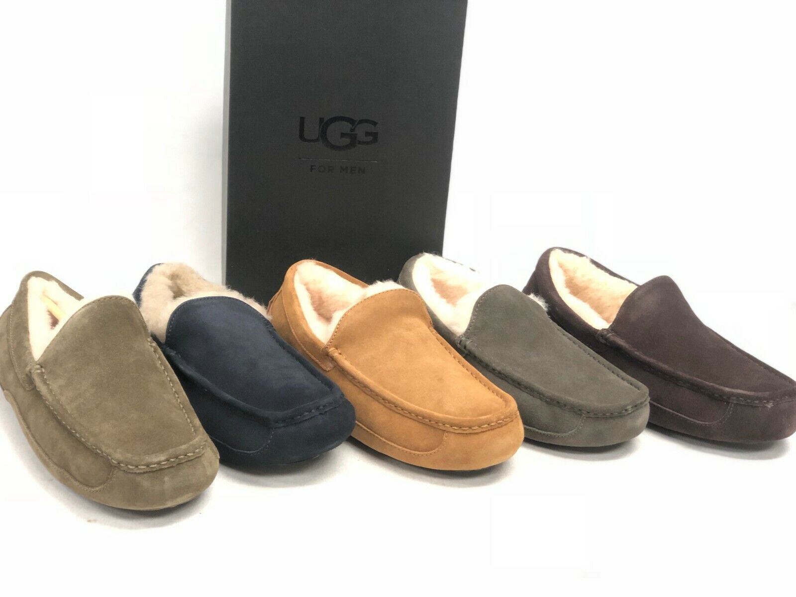 UGG Men's Ascot Slippers 1101110 Shoes Sheepskin Suede UGG Men's Ascot Slippers 1101110 Shoes Sheepskin Suede