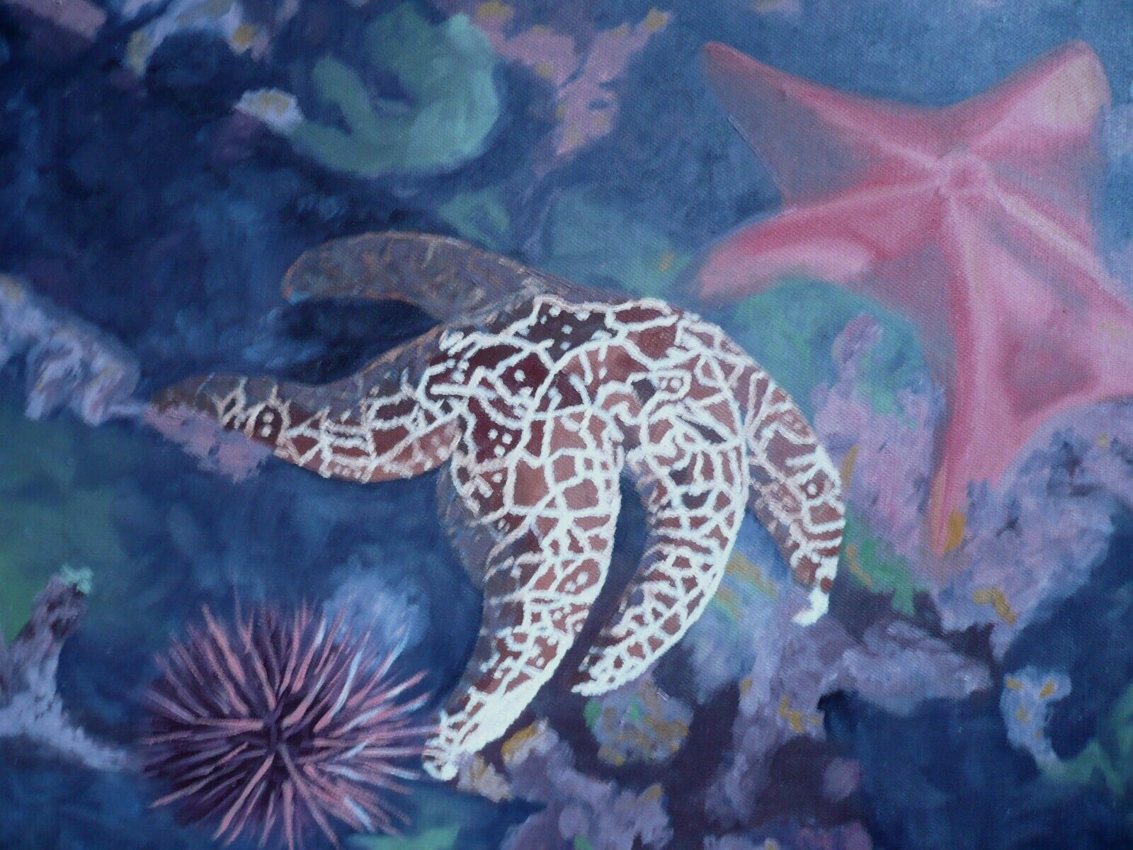 FRANKIE BARNETT, OCEAN INTERIOR REALISM TIDEPOOL STARFISH OCEAN SHELLS ROCKS OIL