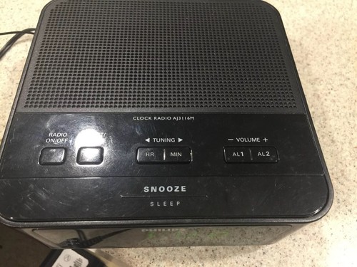 Philips AM/FM Dual Alarm Clock Radio Model No. AJ3116M/37