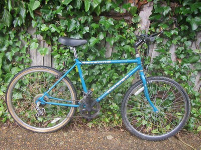 Raleigh%2520burner%252016%2520inch For 