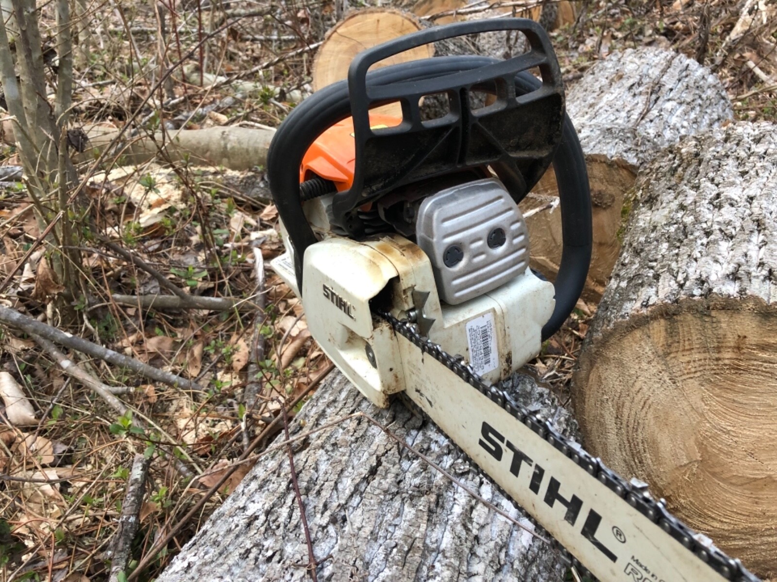 stihl ms251 chainsaw 18 in bar