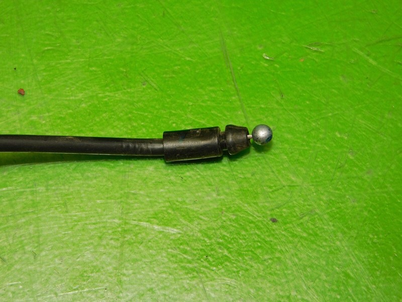 Picture 4
