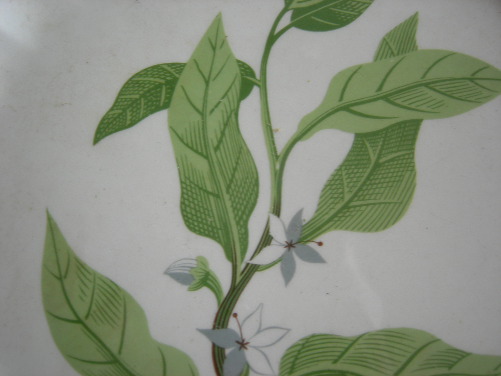 W.S. George China 9.25