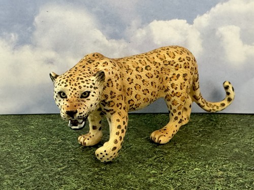 激レア✨share spirit leopard far 激レア✨share spirit leopard far（Rare sighting Sightings