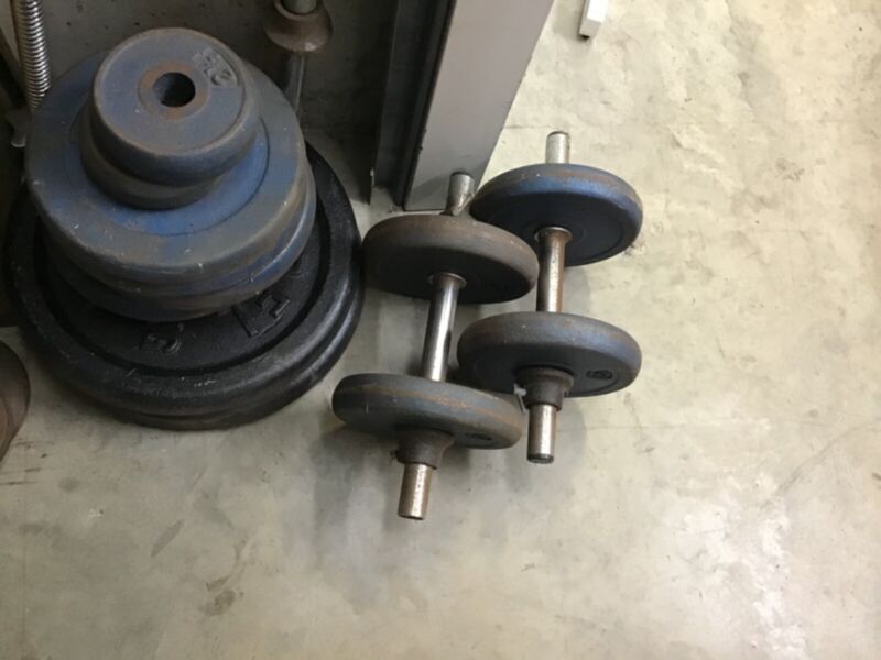 Exercise Weights Bench Press Bar And Easy Curl Bar Free Weights