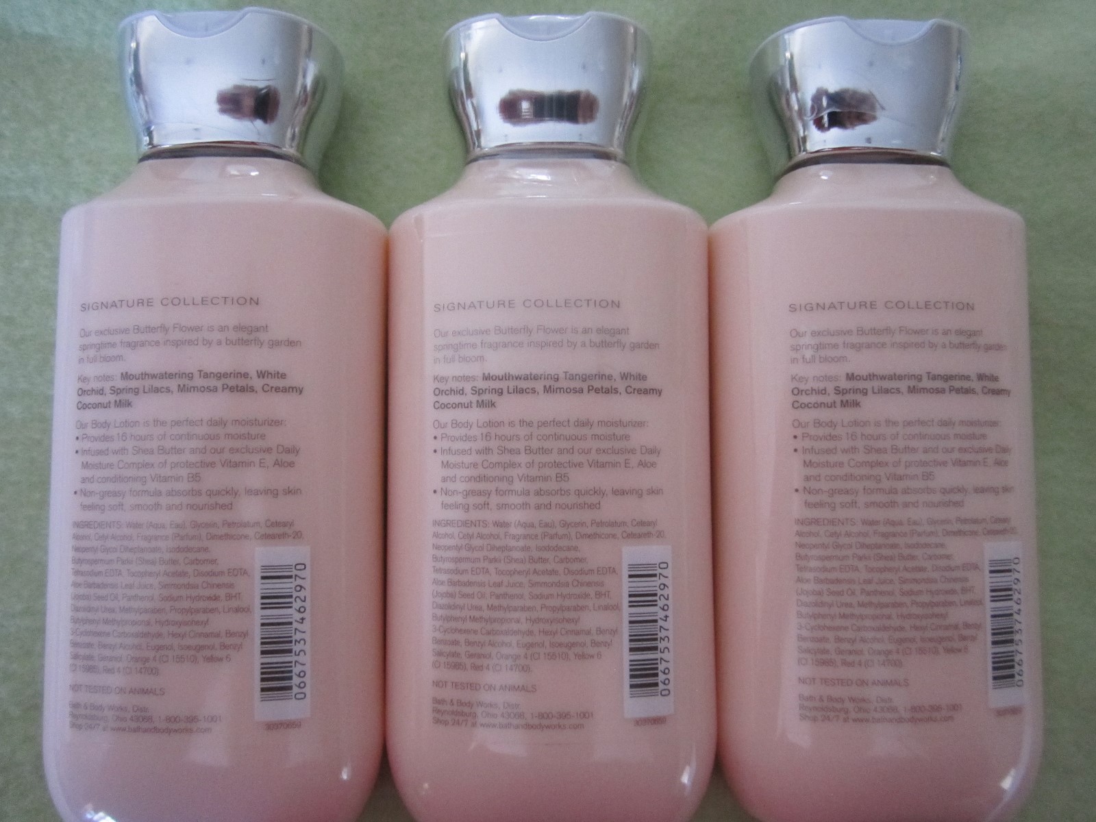 3 Bath & Body Works BUTTERFLY FLOWER 8 oz Body Lotion Full Size Bottles Sealed