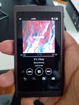 Amazon.com: Sony NW-A55/B Walkman NW-A55 Hi-Res 16GB MP3