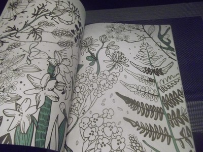 Adult Inspired Coloring Book 