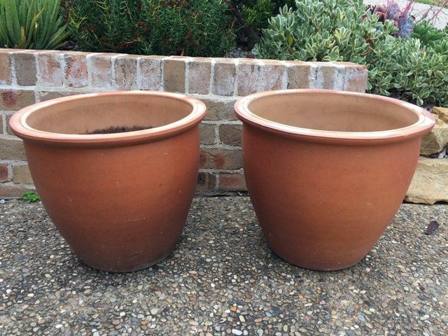 Large glazed terracotta pots | Pots & Garden Beds | Gumtree Australia