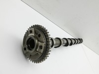 BMW X1 E84 X18D 09-12 2,0d 105KW N47D20U0 Nockenwelle Einlass BMW X1 E84 X18D 09-12 21.06.2010 8575435 11318575435... Vorschau 2