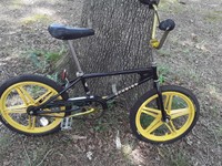 thrasher bmx
