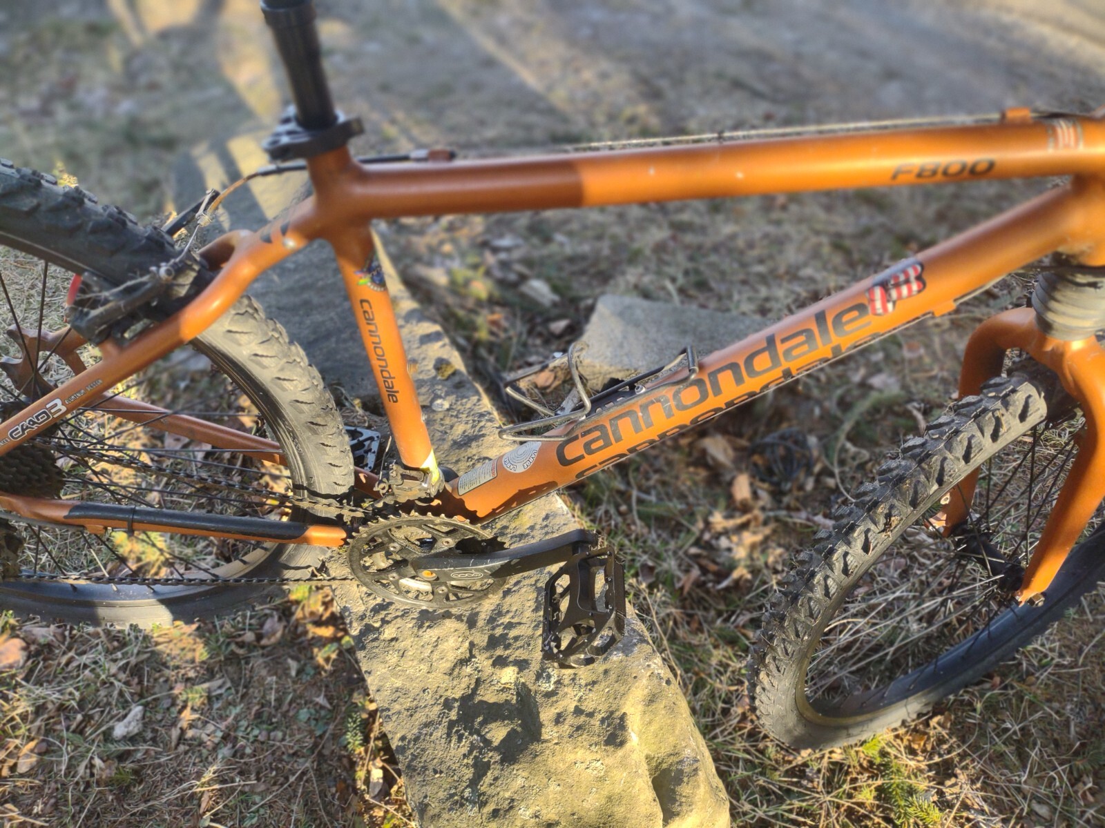 cannondale-killer-f800-18-web - Jan
