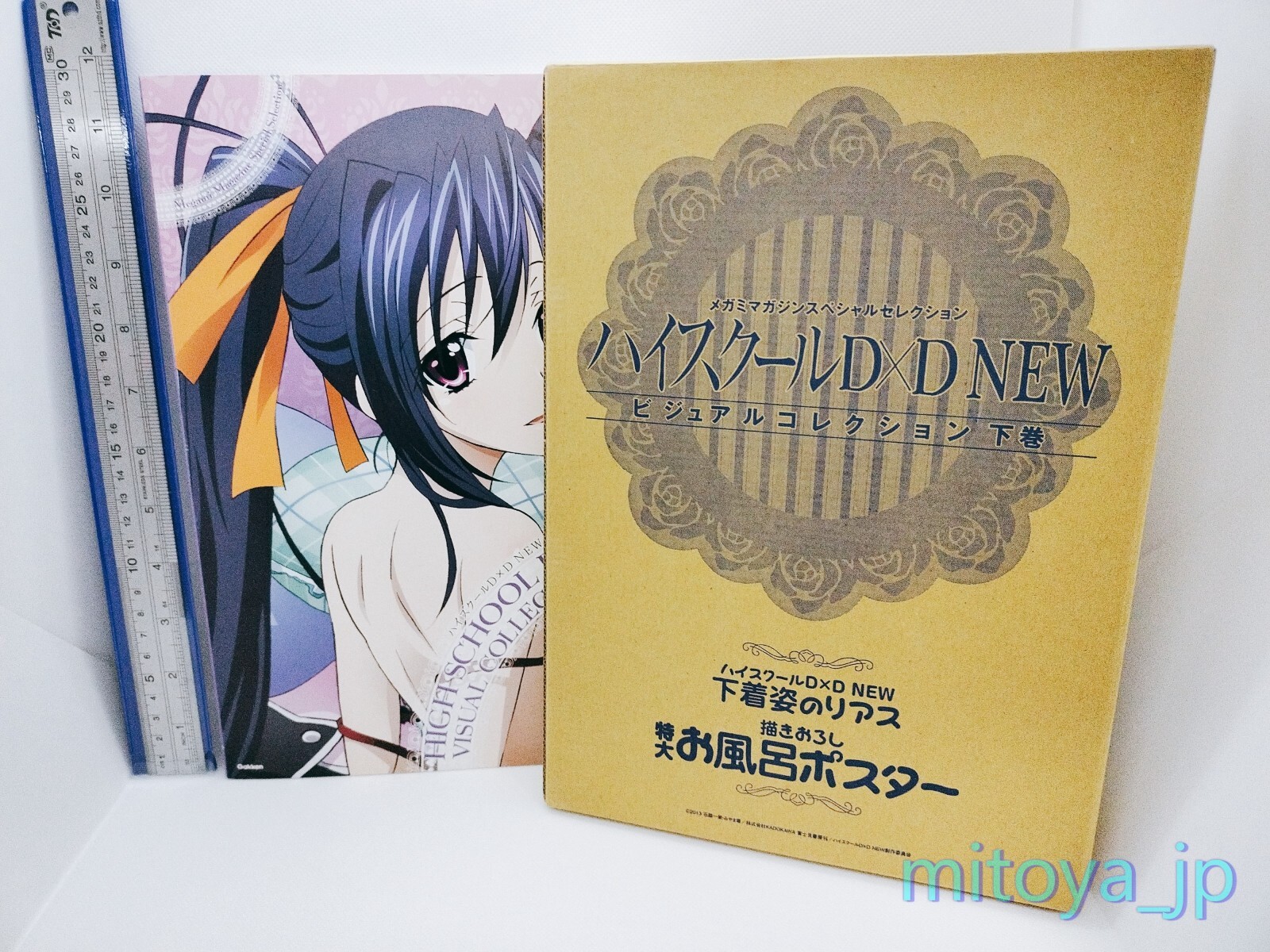 ハイスクールD×D NEW　ビジュアルコレクション 下巻　メガミマガジン ハイスクールD×D NEW ビジュアルコレクション 下巻 ハイスクールD×D