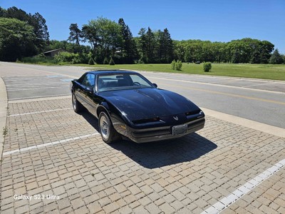 image 15 of exterior