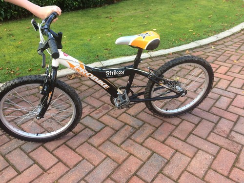 coyote ghetto fat bike