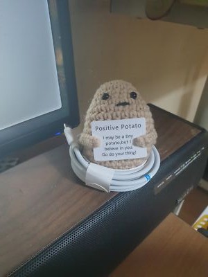 Fotos del artículo de un comprador verificado