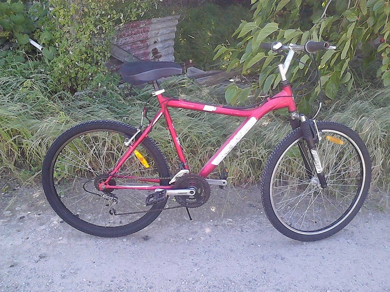 mongoose dx