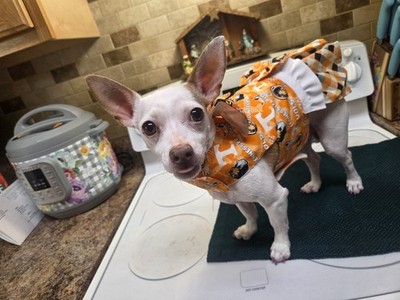 Artikelfoto(s) von einem verifizierten Käufer