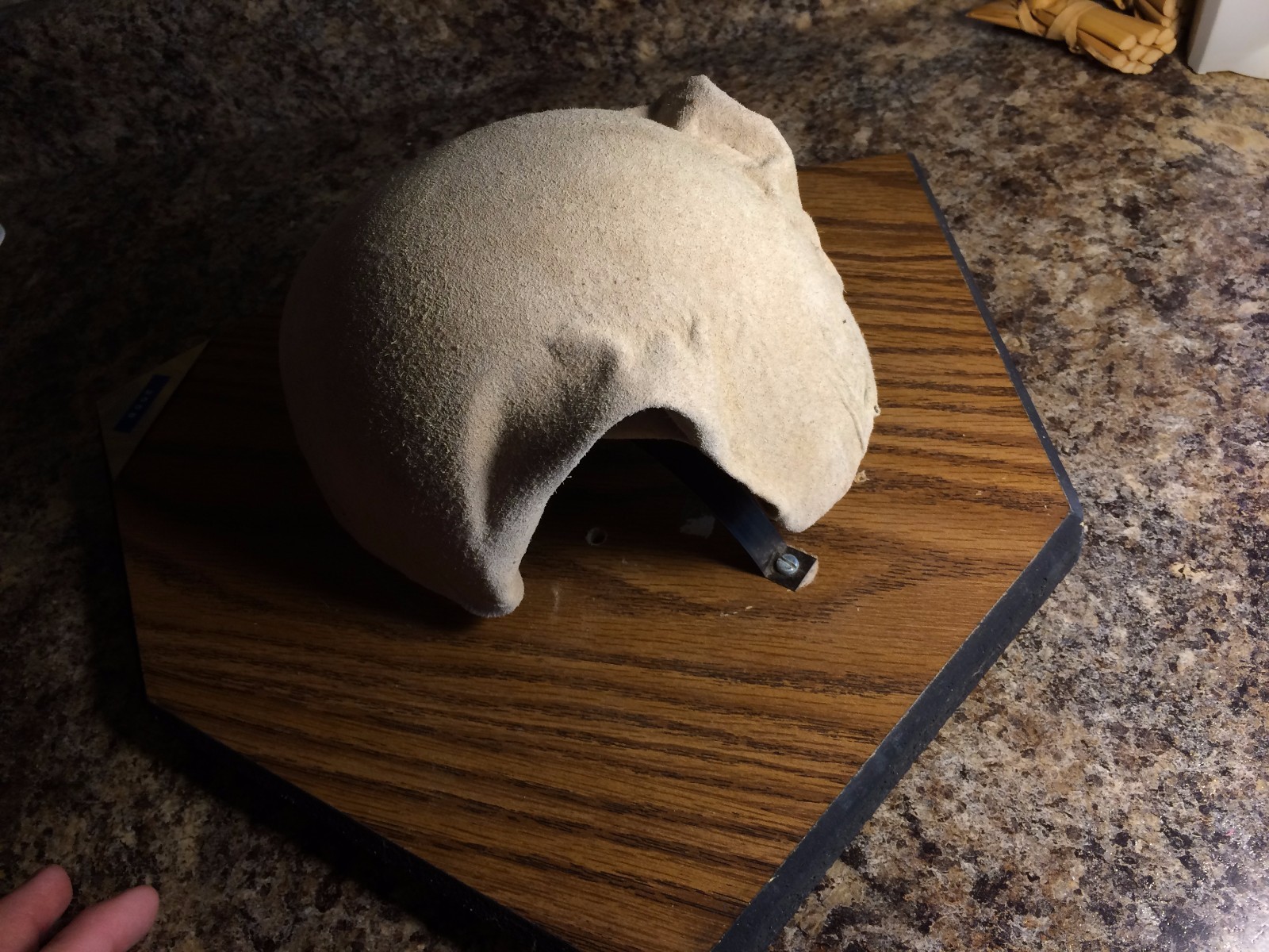 Taxidermy Deer Antler Wood Trophy Mounting Plaque Wall Hanging