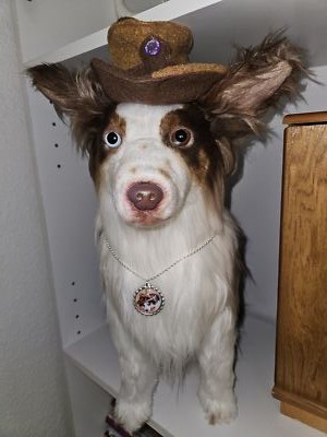 Artikelfoto(s) von einem verifizierten Käufer