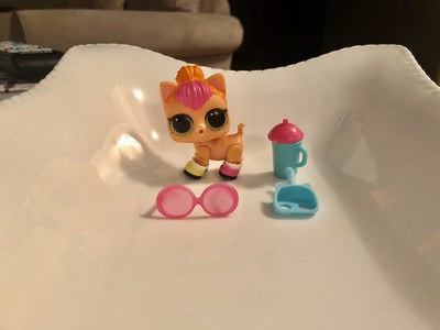 neon qt pet